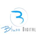 digitalbluooseo